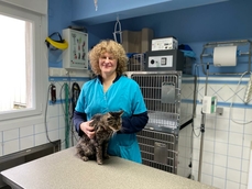 Christelle et le chat Vassan dans la salle de soins.